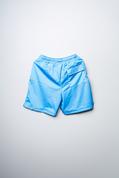 Summer '24 Blue Shorts